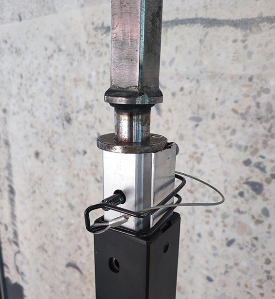 chariot-forage-use-2